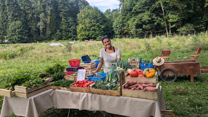 Vente à la ferme